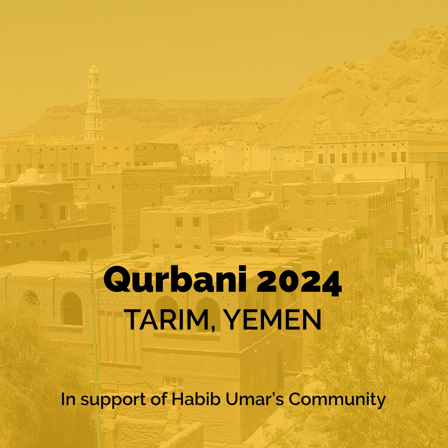 Qurbani 2024 In Tarim, Yemen – Imam Ghazali Publishing